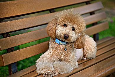 《模拟农场22》正式预告 今年11月22日发售